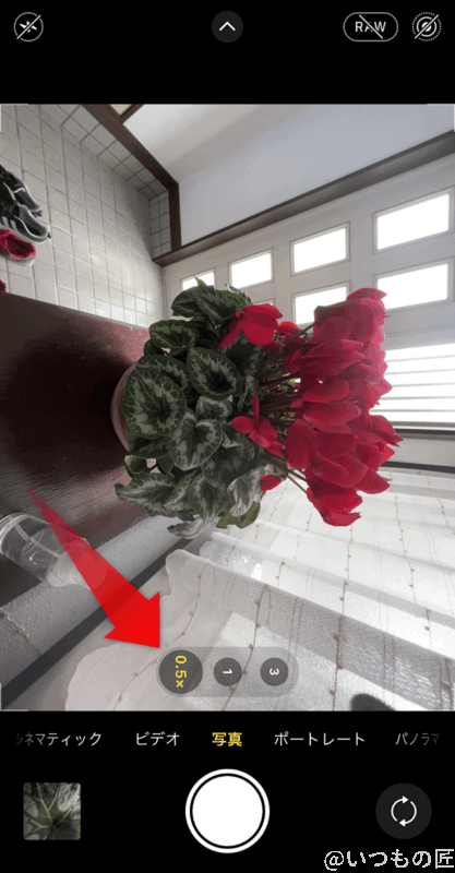 iphone13-macro-camera-step01 | iphone review.jp 超広角レンズでマクロ撮影モードを起動すると、花アイコンは表示されません。