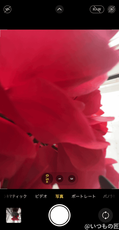 iphone13-macro-camera-step2 | iphone review.jp 花びらをマクロ撮影したらよくわかりますが、細かい表面がキレイに写真に収められました。素晴らしい写りで感動します。
