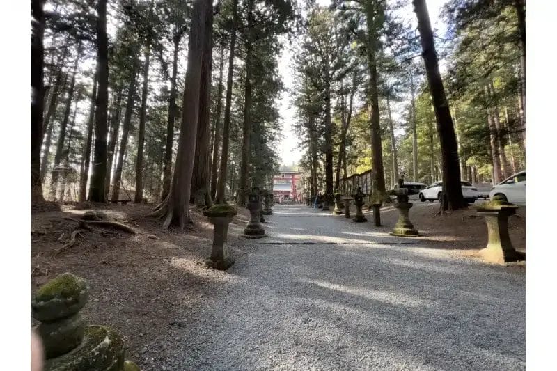 iphone13-ultra-wide-lens-photo | iphone review.jp