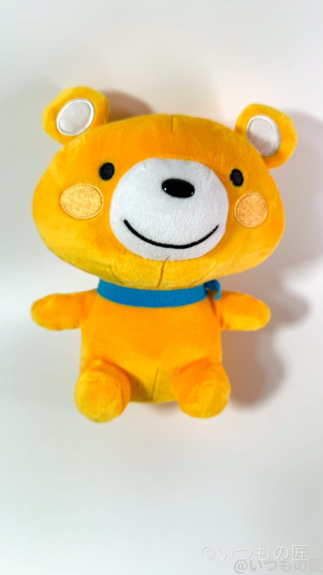 iphone15promax-photo-macro-3 | iphone review.jp iPhone15 Pro Max マクロ撮影 作例8