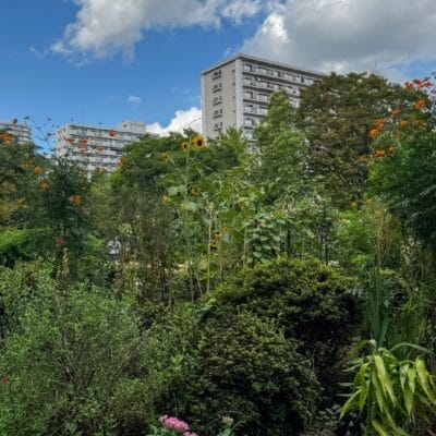 iphone15promax-landscape-07 | iphone review.jp iPhone15 Pro Max 風景写真 作例6(晴天)