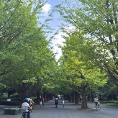 iphone15promax-landscape-11 | iphone review.jp iPhone15 Pro Max 風景写真 作例11(晴天)