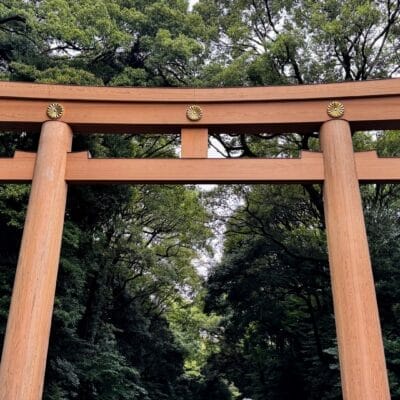 iphone15promax-landscape-17 | iphone review.jp iPhone15 Pro Max 風景写真 作例2(雨天)