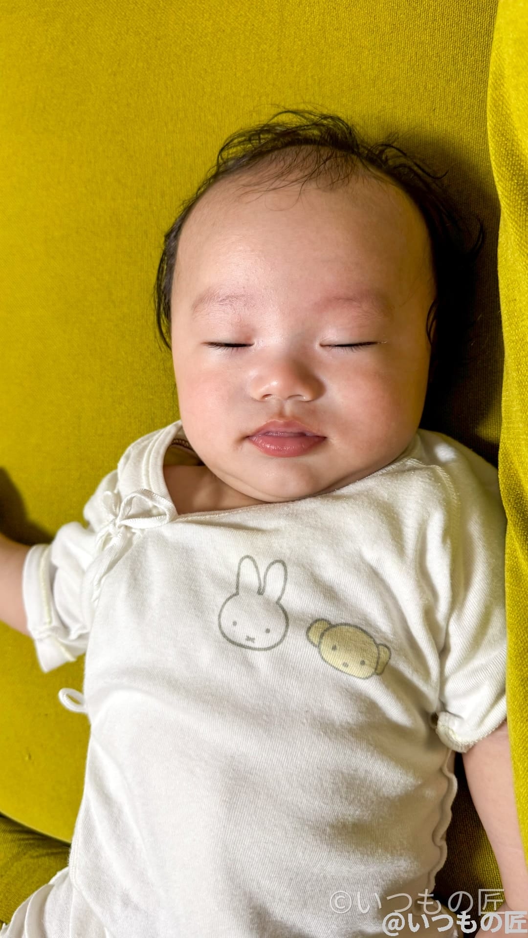 iphone15promax-portrait-1-1 | iphone review.jp 人物写真の作例3