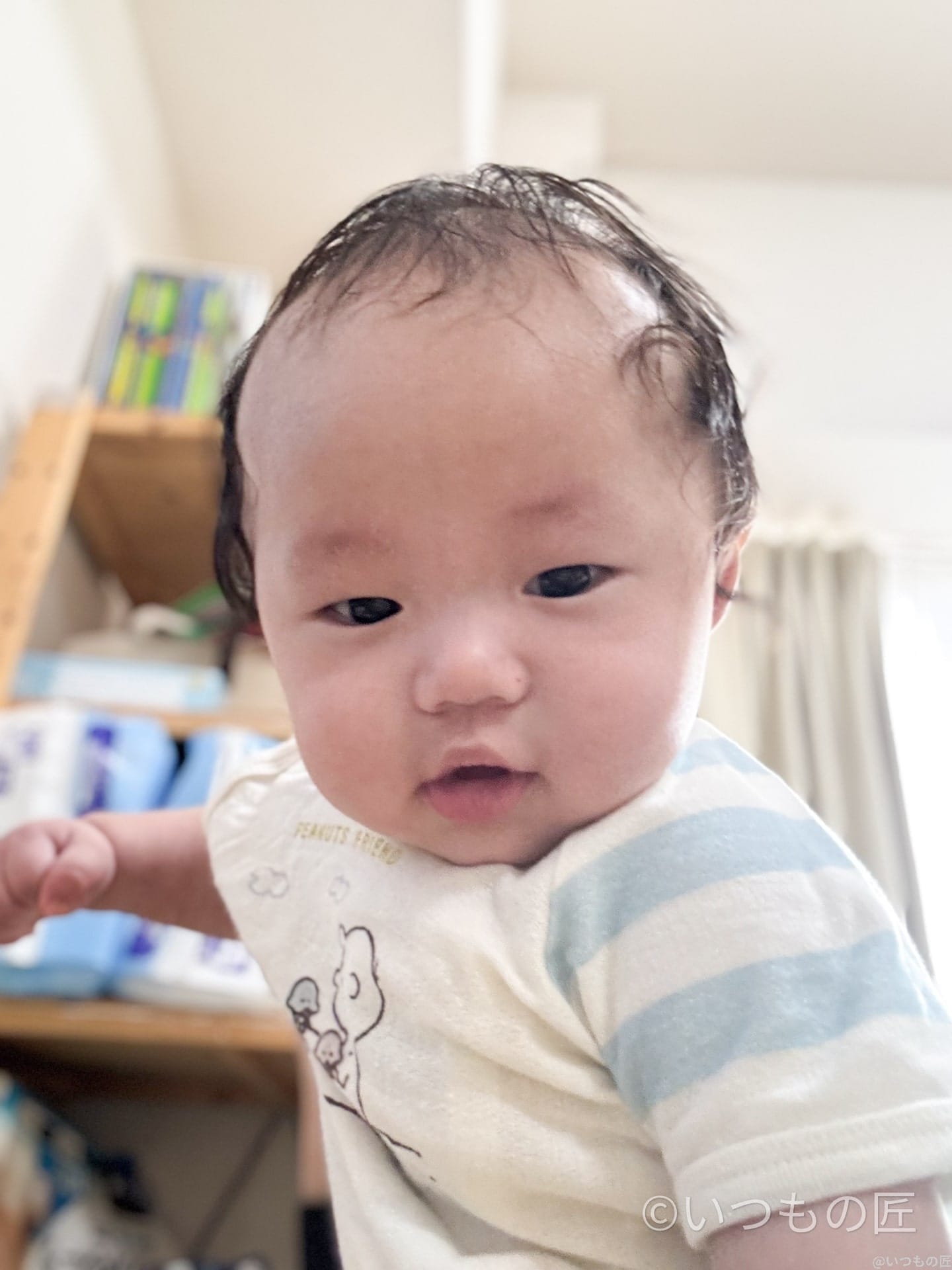 iphone15pro-portrait-1 | iphone review.jp iPhone15 Proインカメラ写真の作例1(室内・手持ち)