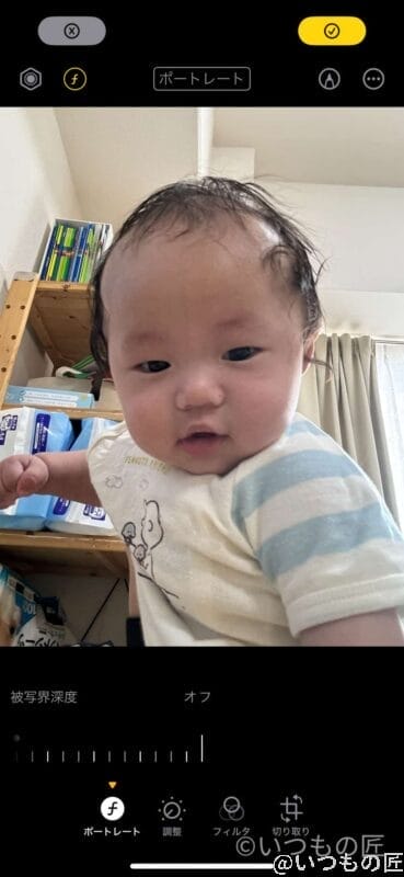 iphone15pro-portrait-boke-1 | iphone review.jp 背景ボケなし