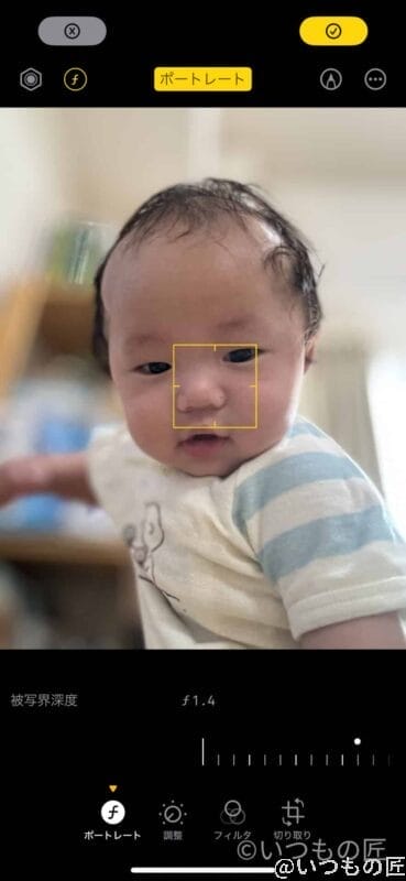 iphone15pro-portrait-boke-2 | iphone review.jp 被写体深度 f1.4