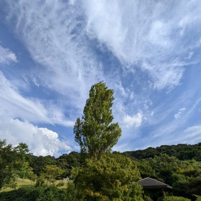Google Pixel 9 カメラ
Google Pixel 9 で撮影した風景写真