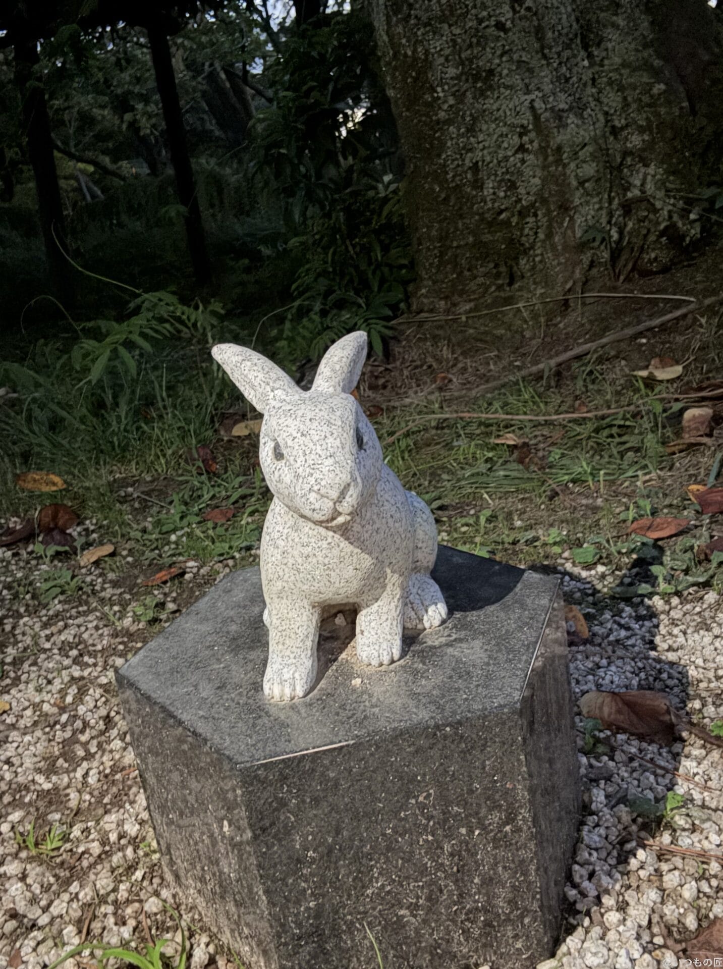 iPhone 16 Pro/16 Pro Max カメラ
iPhone 16 Pro Maxのフロントカメラで撮影した写真