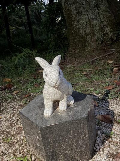 iphone 16 pro maxのフロントカメラで撮影した写真 | iphone review.jp iPhone 16 Pro/16 Pro Max カメラ iPhone 16 Pro Maxのフロントカメラで撮影した写真