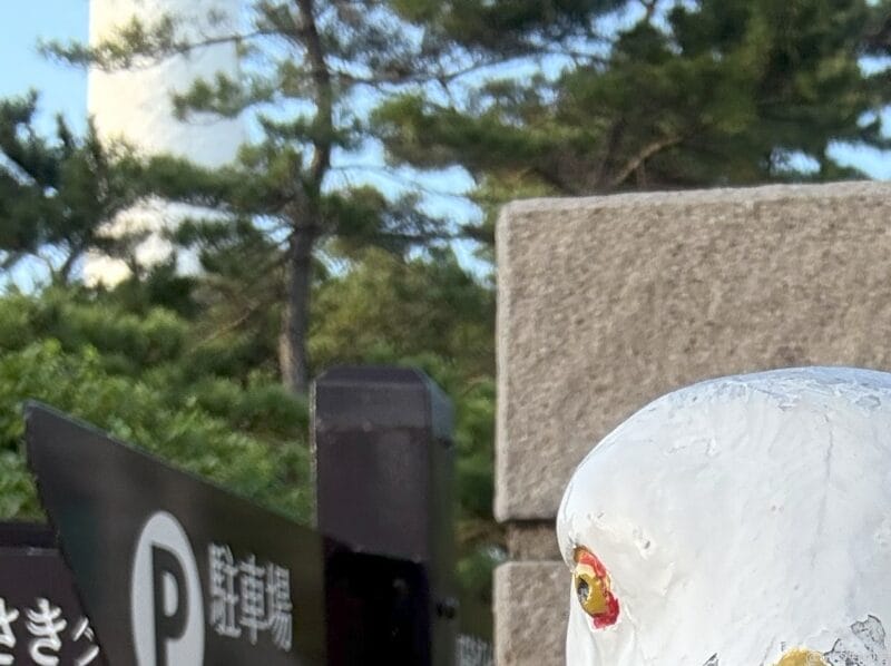 iPhone 16/16 Plus カメラ iPhone 16のフロントカメラで撮影した写真