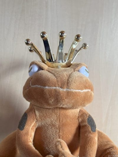 iphone 16のフロントカメラで撮影した写真 | iphone review.jp iPhone 16/16 Plus カメラ iPhone 16のフロントカメラで撮影した写真