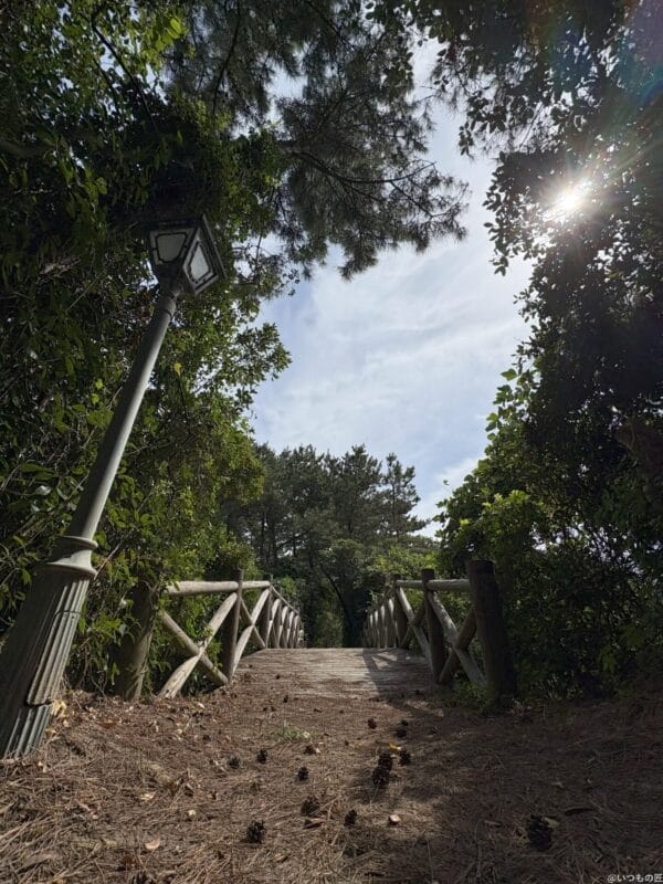 iPhone 16/16 Plus カメラ iPhone 16で撮影した風景写真