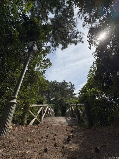 iphone 16で撮影した風景写真 | iphone review.jp iPhone 16/16 Plus カメラ iPhone 16で撮影した風景写真