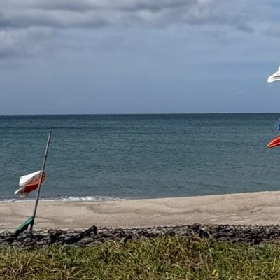 iphone 16で撮影した風景写真 | iphone review.jp iPhone 16/16 Plus カメラ iPhone 16で撮影した風景写真