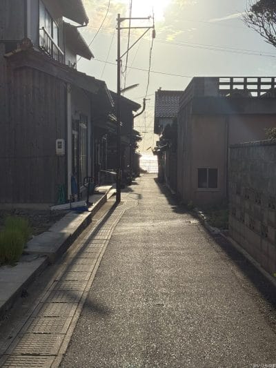 iphone 16で撮影した風景写真 | iphone review.jp iPhone 16/16 Plus カメラ iPhone 16で撮影した風景写真