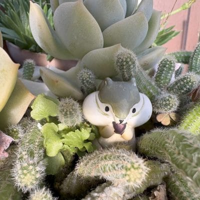 iphone 16でマクロ撮影した写真 | iphone review.jp iPhone 16/16 Plus カメラ iPhone 16でマクロ撮影した写真