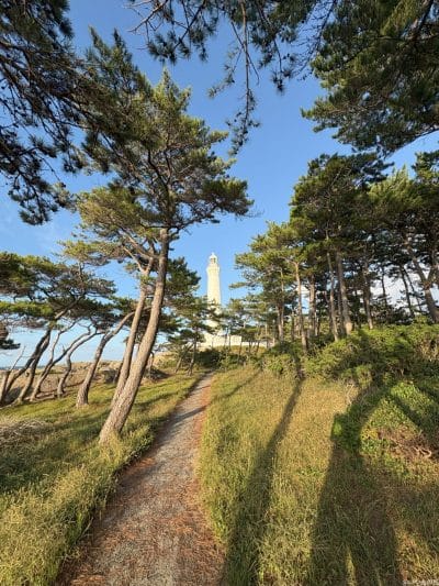 iphone 16でズーム撮影した風景写真 | iphone review.jp iPhone 16/16 Plus カメラ iPhone 16でズーム撮影した風景写真