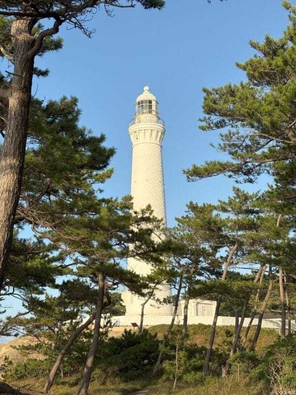 iPhone 16/16 Plus カメラ iPhone 16でズーム撮影した風景写真