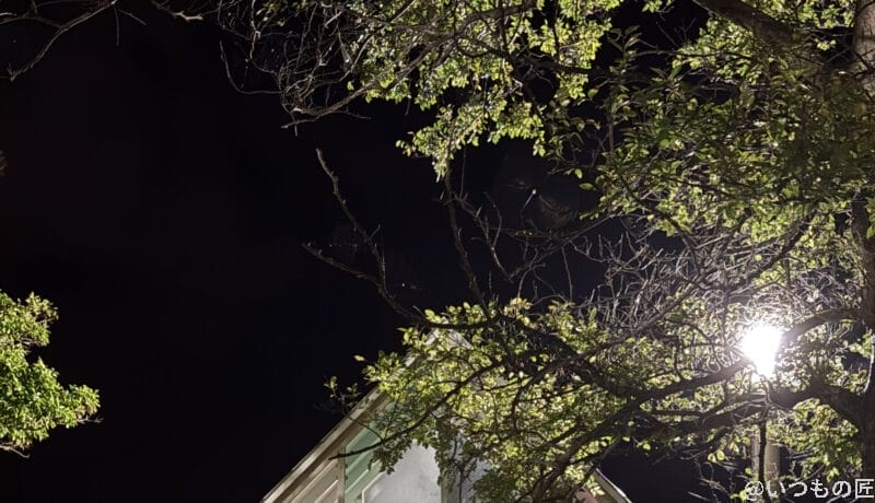 iPhone16e カメラ
iPhone16のズーム写真を切り抜き・拡大した写真