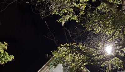 iphone16のズーム写真を切り抜き・拡大した写真 | iphone review.jp iPhone16e カメラ iPhone16のズーム写真を切り抜き・拡大した写真