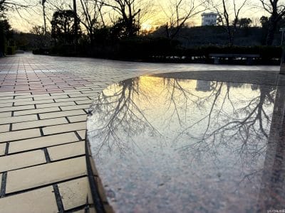 iphone16eで撮影した風景写真 | iphone review.jp iPhone16e カメラ iPhone16eで撮影した風景写真