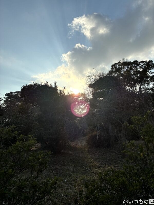 iPhone16e カメラ
iPhone16eで撮影した風景写真