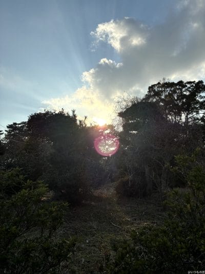 iphone16eで撮影した風景写真 | iphone review.jp iPhone16e カメラ iPhone16eで撮影した風景写真