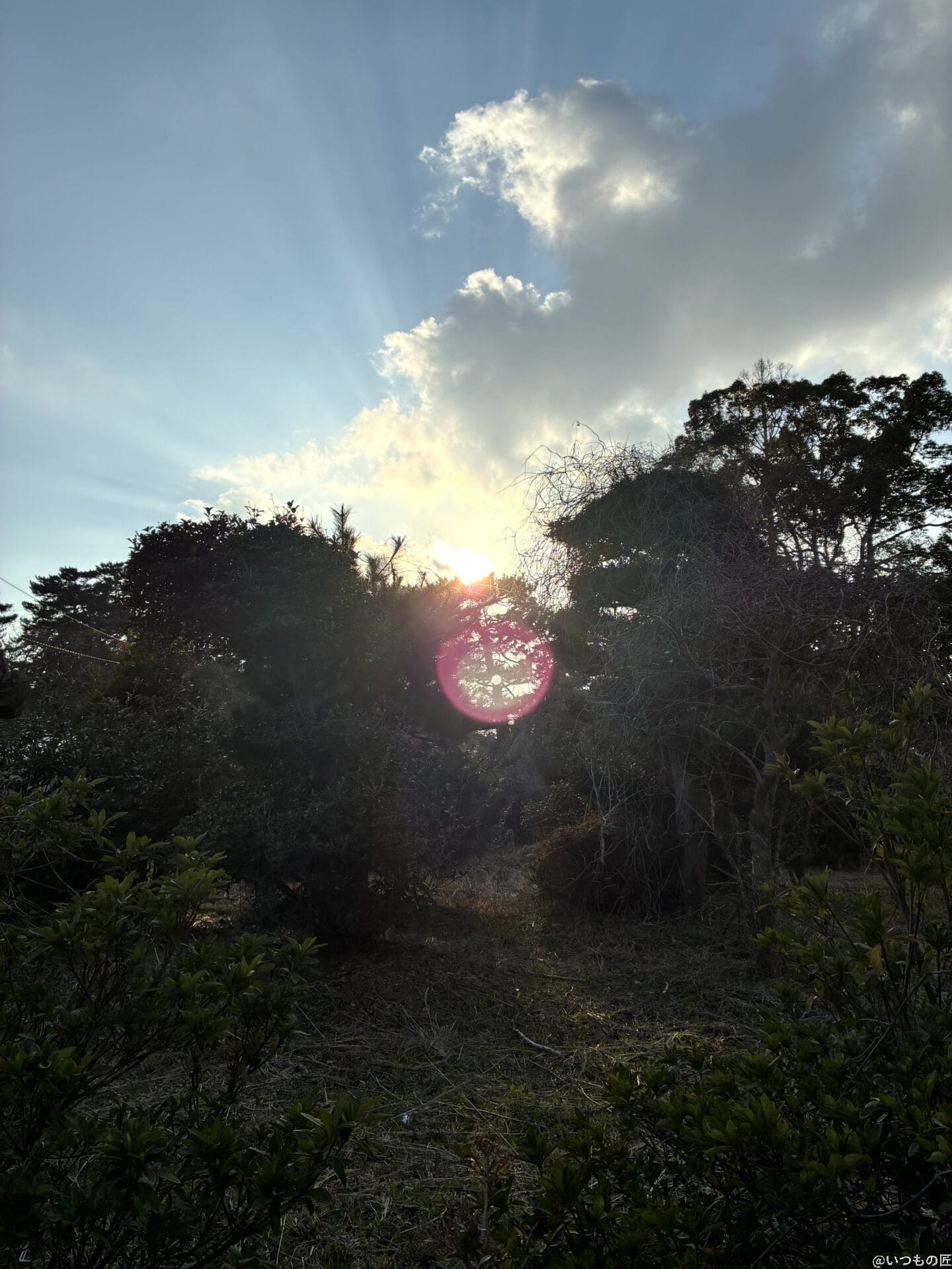 iPhone16e カメラ
iPhone16eで撮影した風景写真