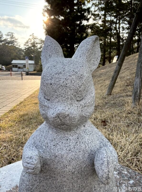 iPhone16e カメラ
iPhone16eでインカメラ撮影した写真