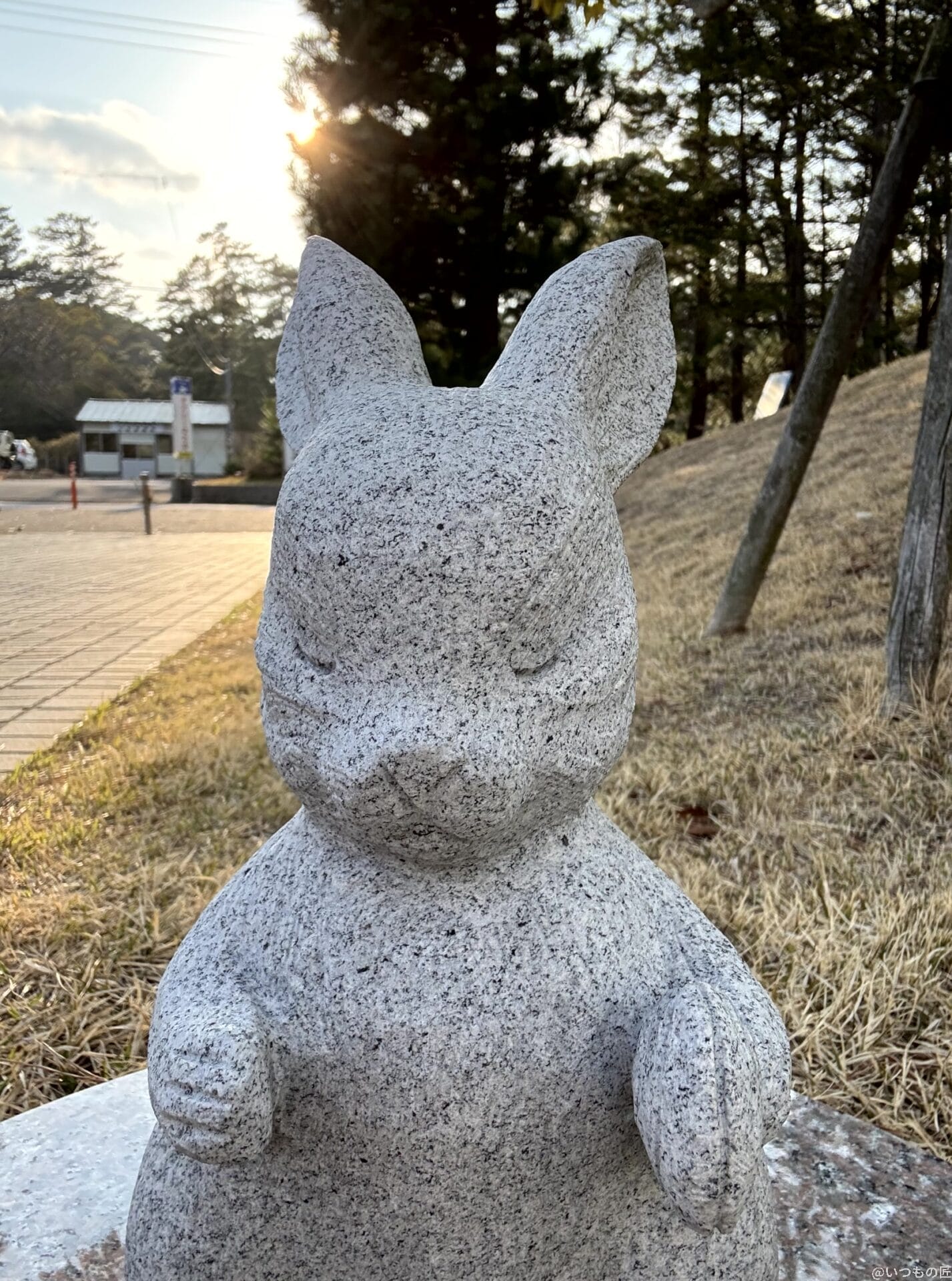 iPhone16e カメラ
iPhone16eでインカメラ撮影した写真