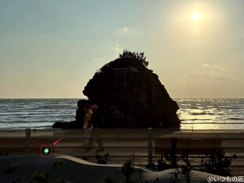 iPhone16e カメラ iPhone16eでズーム撮影した写真