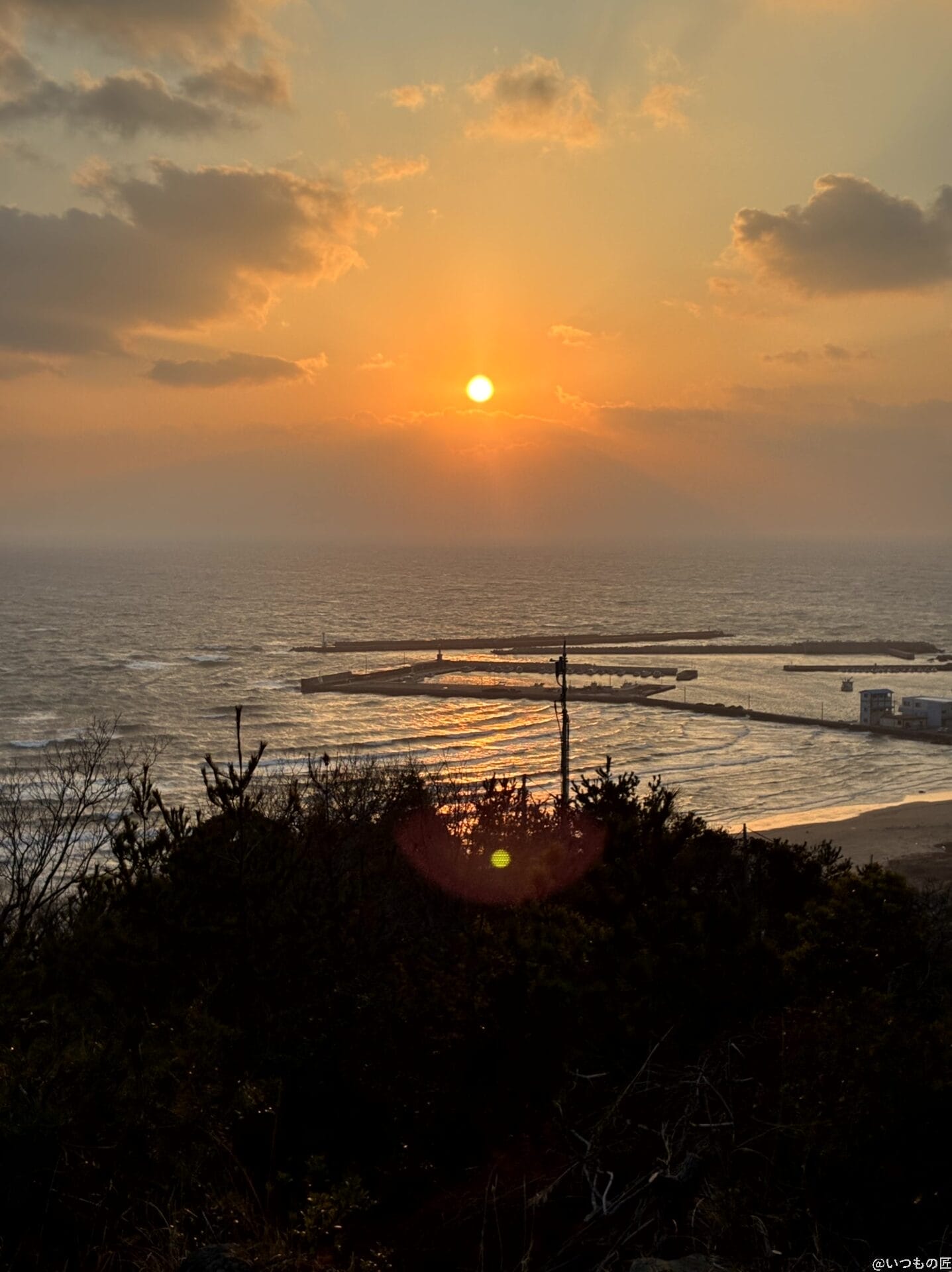 iPhone16e カメラ iPhone16eでズーム撮影した写真