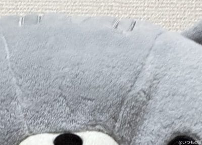 グレーのクマのぬいぐるみ | iphone review.jp iPhone 17 Pro カメラ グレーのクマのぬいぐるみ