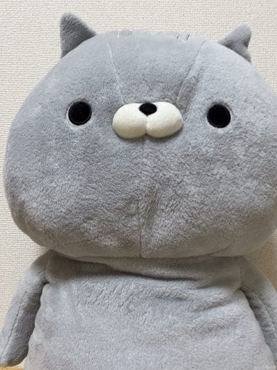 グレーのクマのぬいぐるみ | iphone review.jp iPhone 17 Pro カメラ グレーのクマのぬいぐるみ