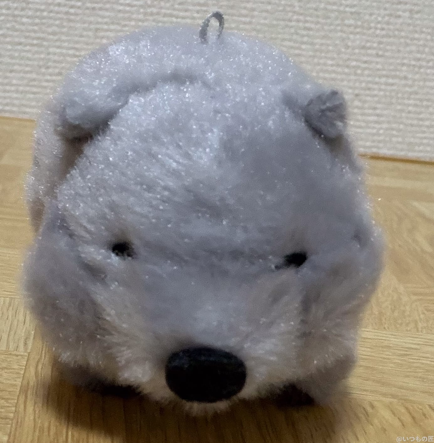 iPhone 17 Pro カメラ
ねずみのぬいぐるみ