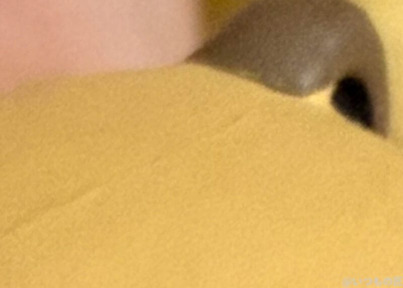 手のひらの上の狸のマスコット人形尾 | iphone review.jp iPhone 17 Pro カメラ 手のひらの上の狸のマスコット人形尾