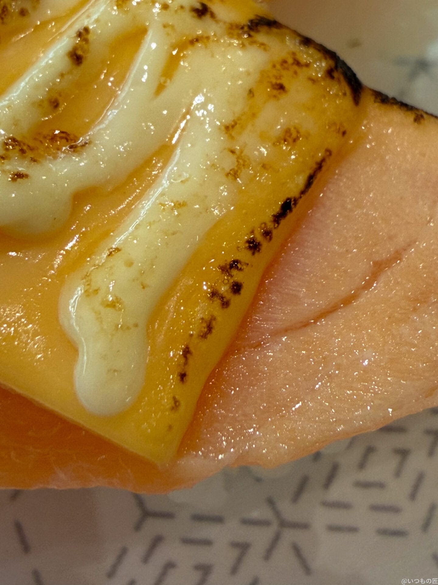 iPhone 17 Pro カメラ
サーモンの上のとろけたチーズ