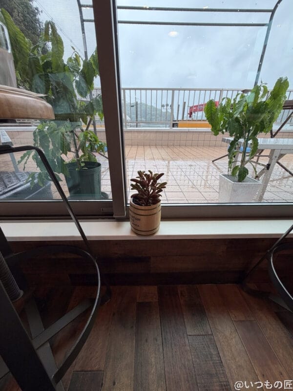 iPhone 17 Pro カメラ 木樽風の鉢に植えられ、窓辺に佇む植物