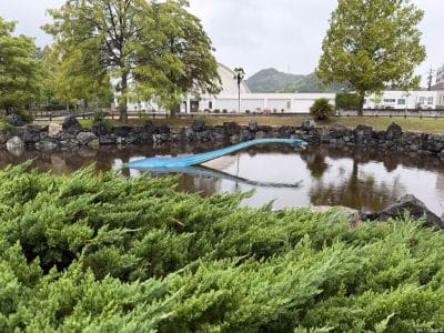 恐竜のアトラクション | iphone review.jp iPhone 17 Pro カメラ 恐竜のアトラクション