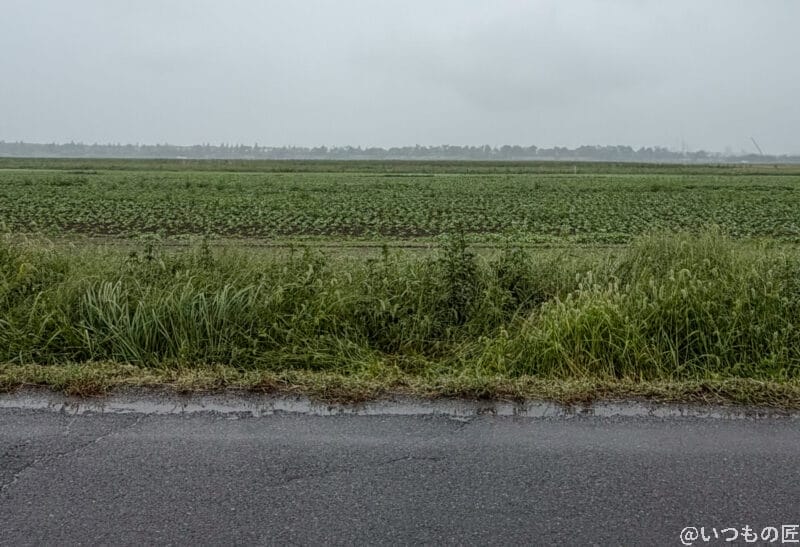 雨に濡れた道路の様子 | iphone review.jp iPhone17 カメラ 雨に濡れた道路の様子