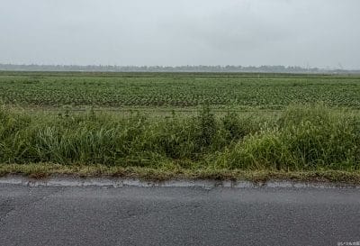 雨に濡れた道路の様子 | iphone review.jp iPhone17 カメラ 雨に濡れた道路の様子