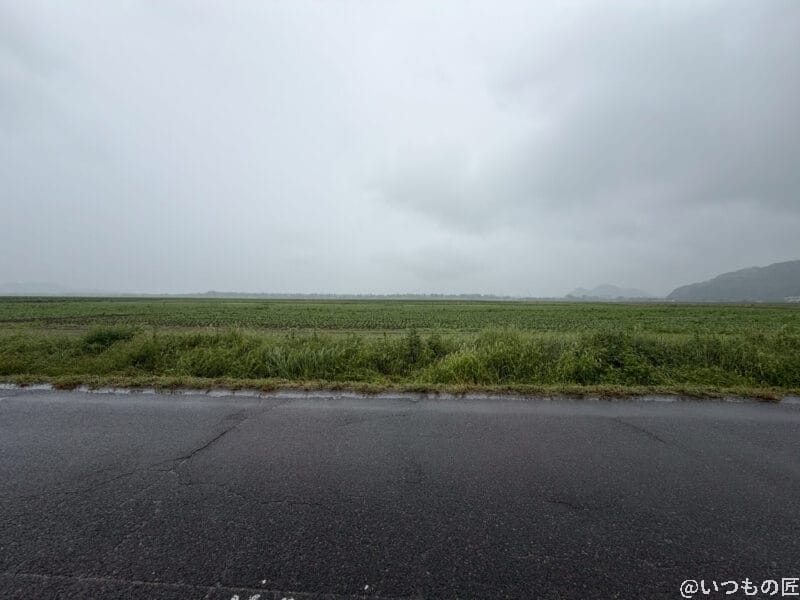 雨に濡れた道路の様子 | iphone review.jp iPhone17 カメラ 雨に濡れた道路の様子