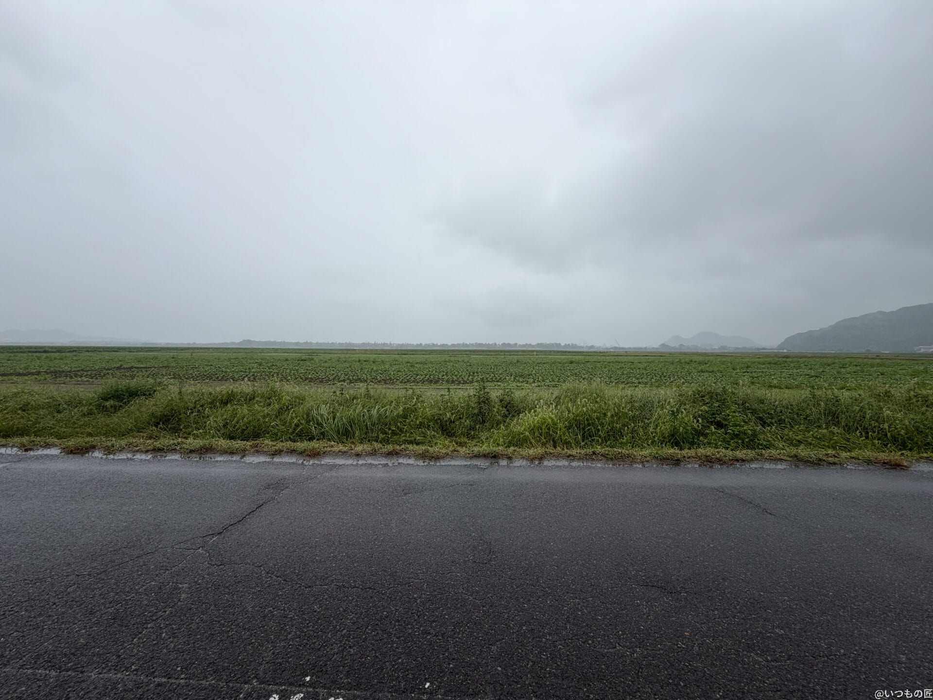 iPhone17 カメラ
雨に濡れた道路の様子