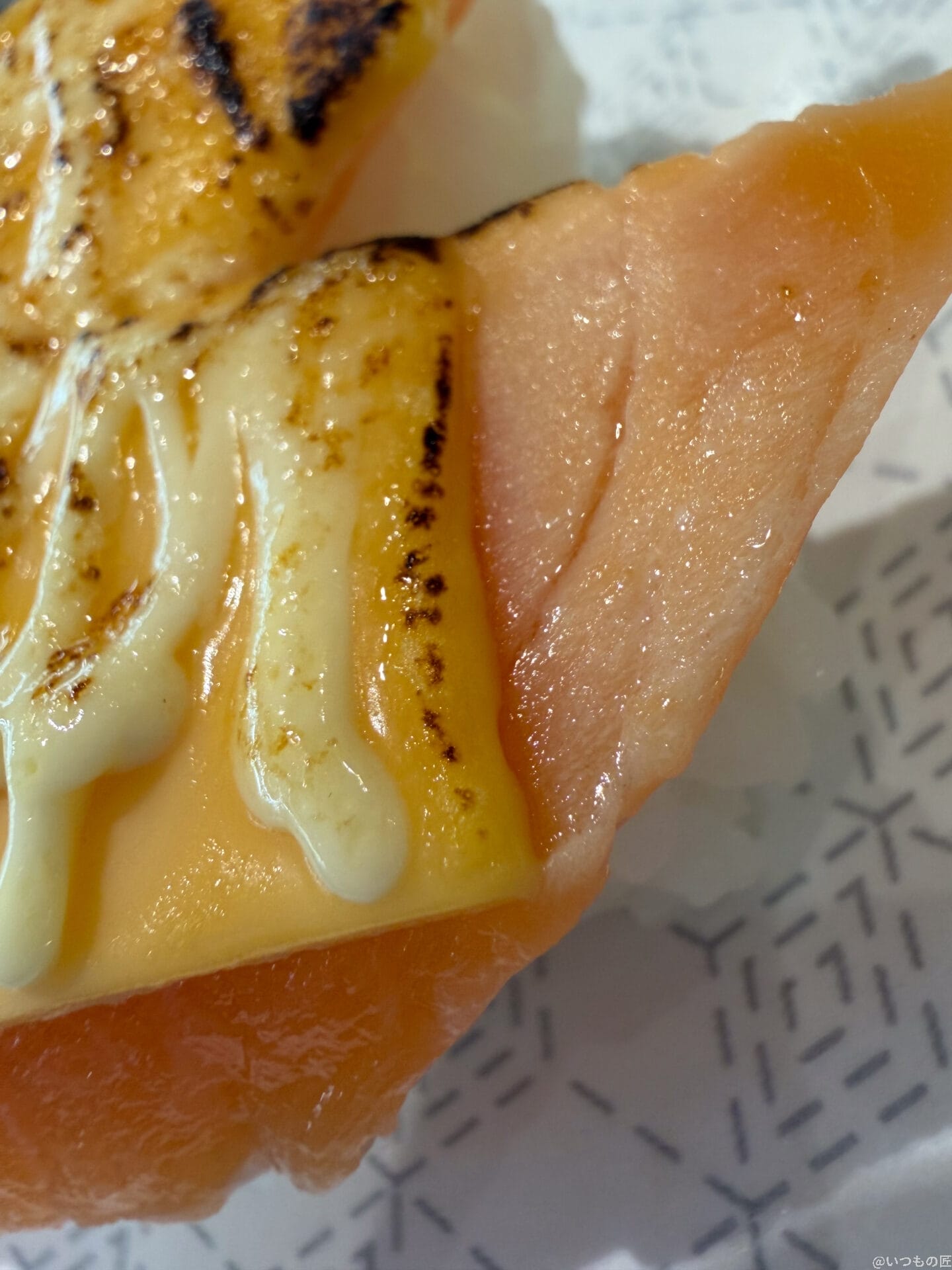 サーモンの上のチーズ | iphone review.jp iPhone17 カメラ サーモンの上のチーズ