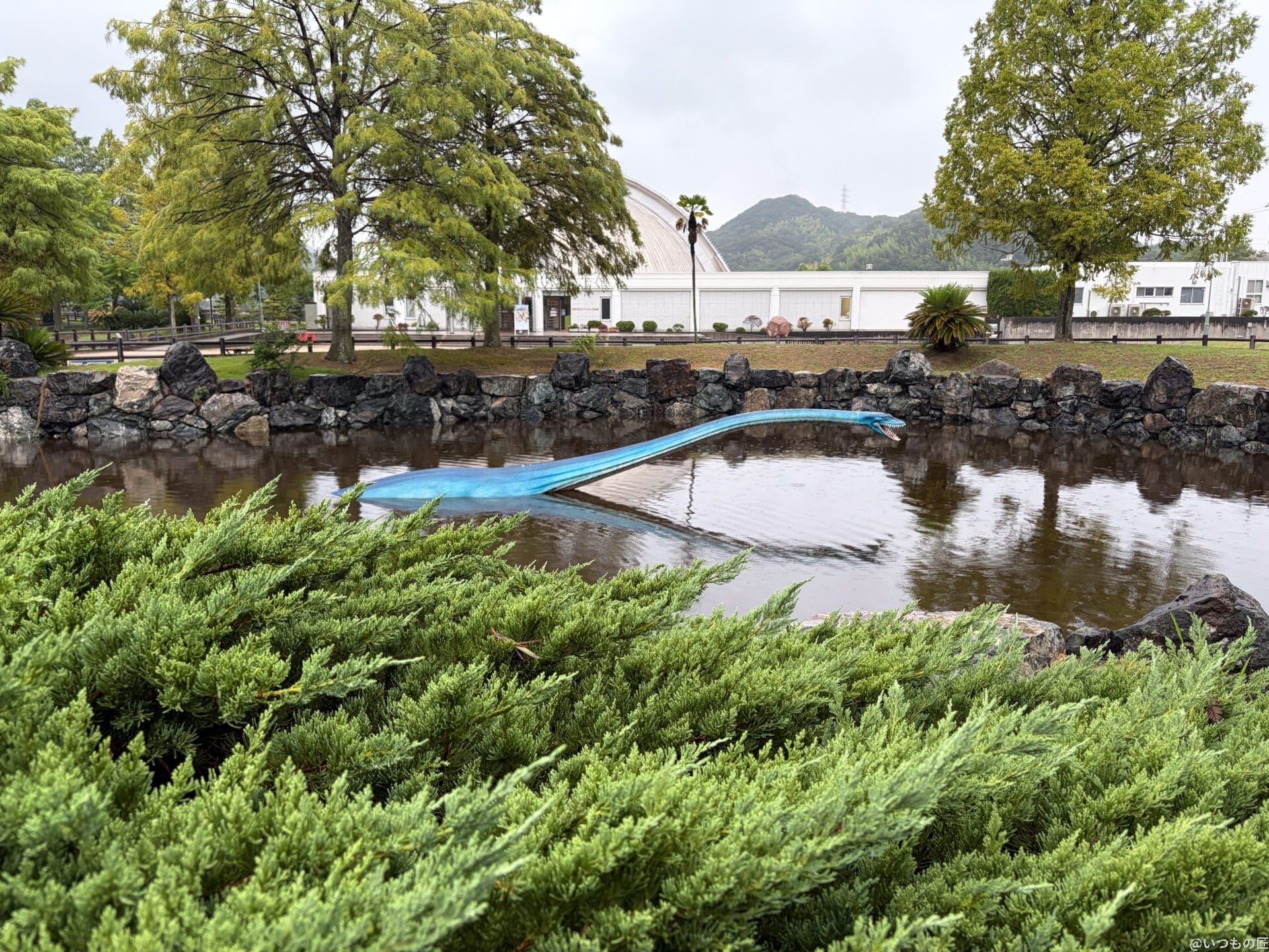 iPhone17 カメラ
水に浮かぶ首長竜のオブジェ