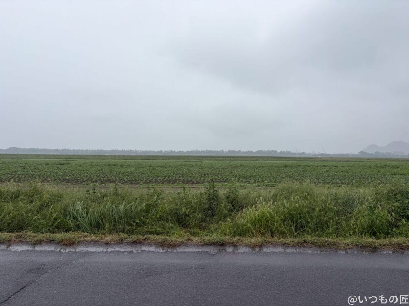 iPhone Air カメラ 雨に濡れたアスファルトの様子